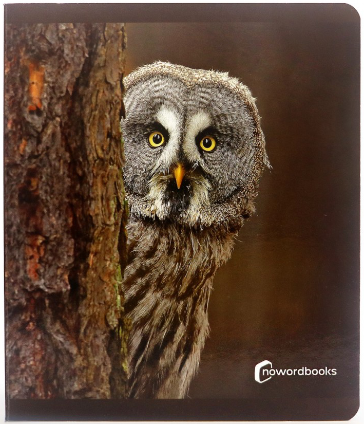 Animales del Bosque