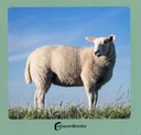 Animales de la granja 2