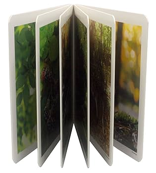 [1YY0010000] El bosque