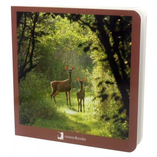 [1YY9980000] Animales del bosque